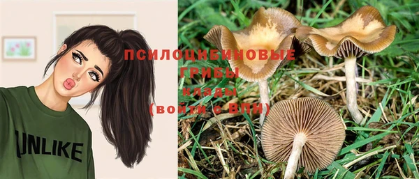 герыч Верея
